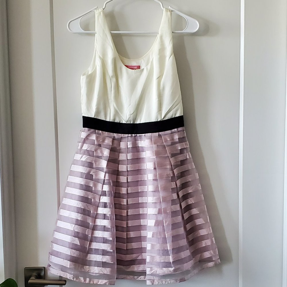 pretty dress with purple skirt